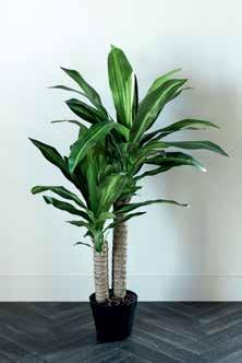 K90 cm 23590 88,90 FLORA
