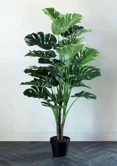 133,50 FLORA MEHIKASVI