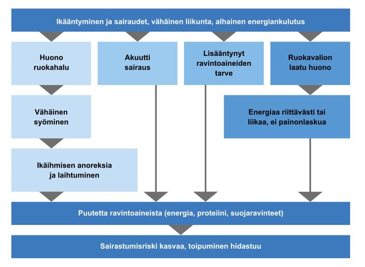 Ikääntyneiden virheravitsemus voi kehittyä monia eri teitä Lähde: VRN 2010 Virheravitsemus lihaskato kiihtyy toimintakyky heikkenee laihtuminen