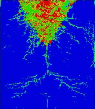 images 7 mm T = 1 microsecond T