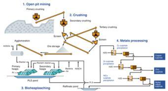 MBR for wastewater treatment Nutrients recovery