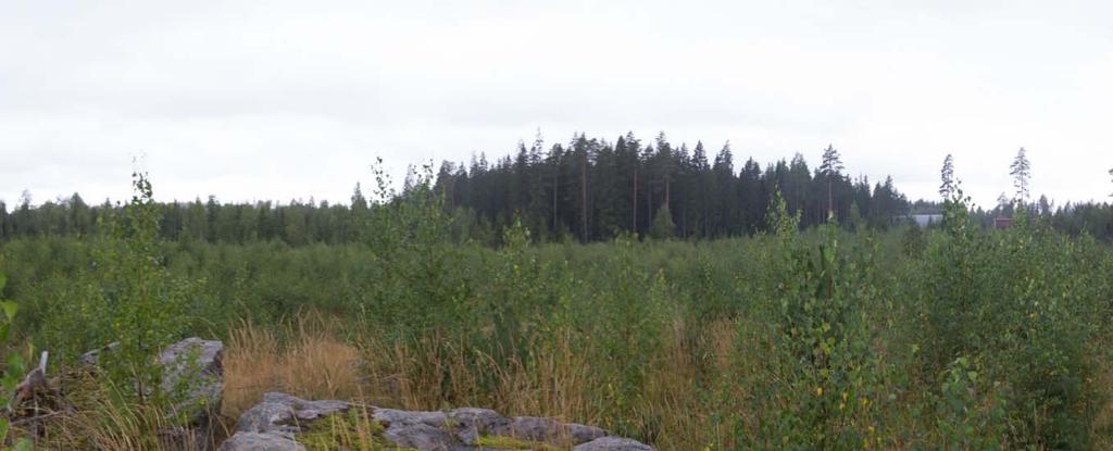 Kuvan yläosassa