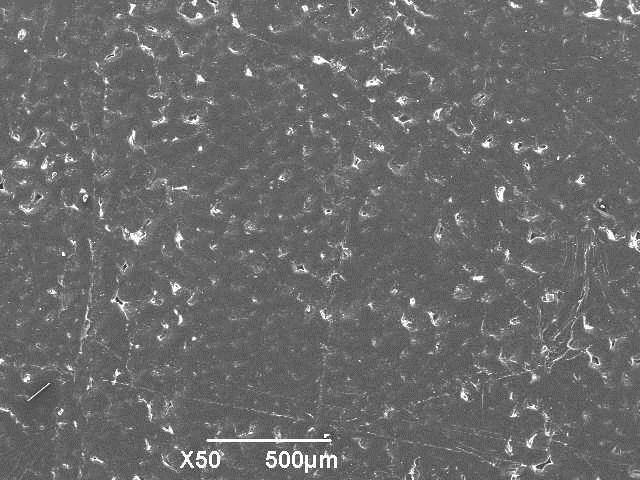 SEM images of the eroded samples APPENDIX 6 (5/6) Rotational molded HDPE