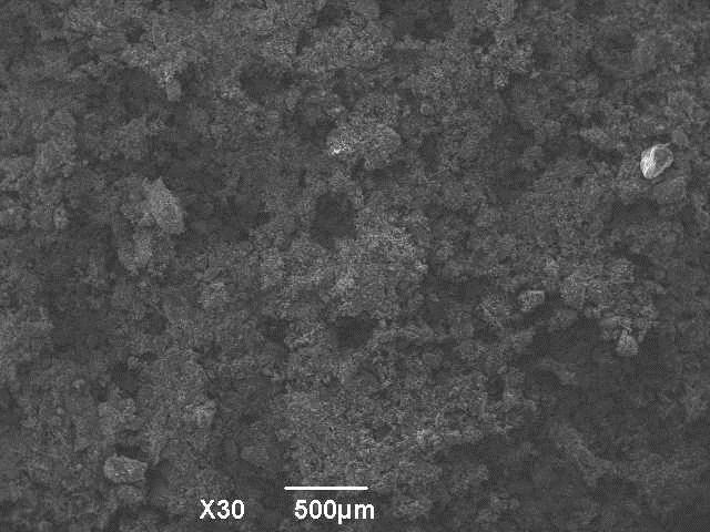 SEM images of the ore APPENDIX 7 SEM