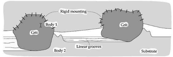 abrasive wear appears. Two-body abrasive wear appears mainly in material removal operations (Harsha et al. 2003).