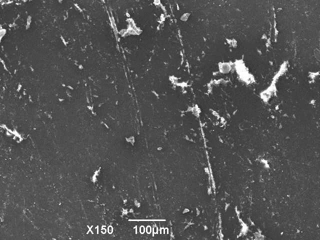 Different wear mechanisms were examined by utilizing SEM.