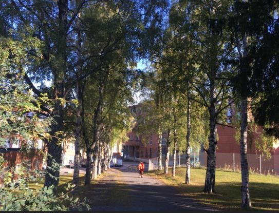Takapihalla on vehreän luonnon keskellä taideteos. 4 Johtopäätökset 4.1 