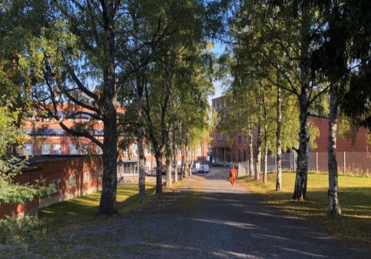 Kumitehtaan alkuvaiheen rakennuskantaa edustaa vuonna 1925 valmistunut isännöitsijän asuintalo Hakkalinna, joka muutettiin