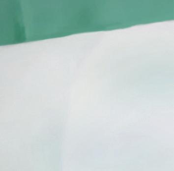 Di Stefano F, Di Gioacchino G, Di Rocco P, Schiavone