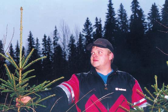 Hyppölä kokemaansa. - Olin nähnyt paljon epätaisia ja laaadultaan vaihtelevia taimieriä ja halusin kokeilla Nordic Forest Plantsin taimia omassa metsässäni, hän jatkaa.