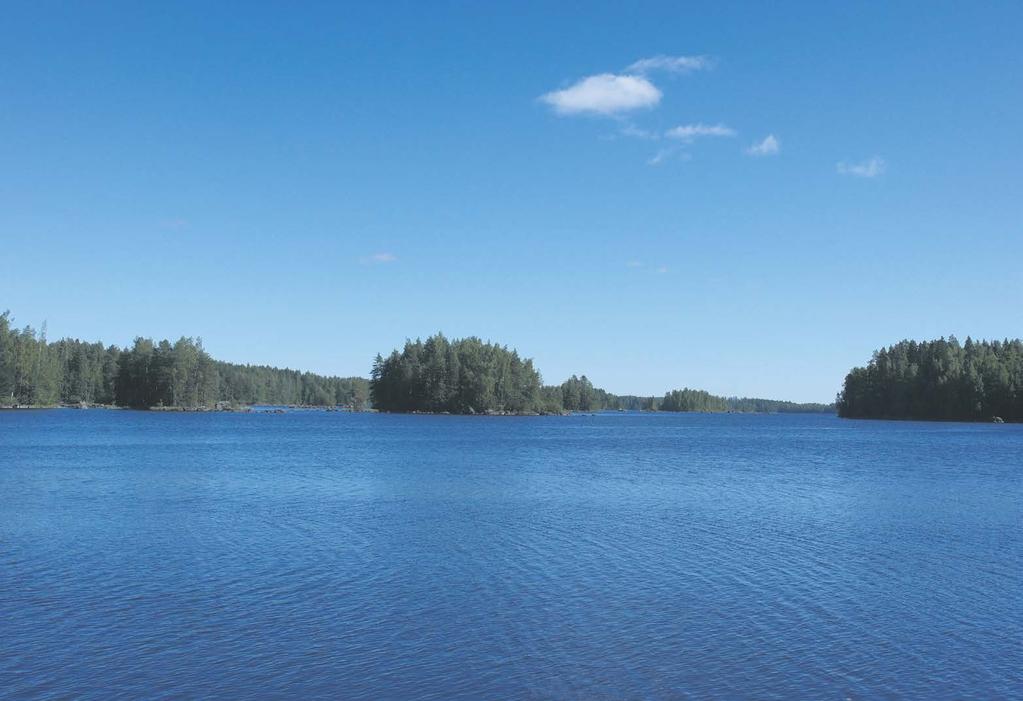 www.haukivuori.