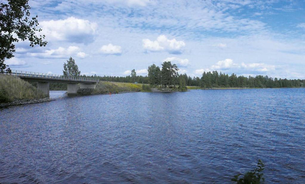 Kapustasalmi. Taustalla Kyyvesi. Torimme esiintymislava. Kuva Asko Kohvakka.