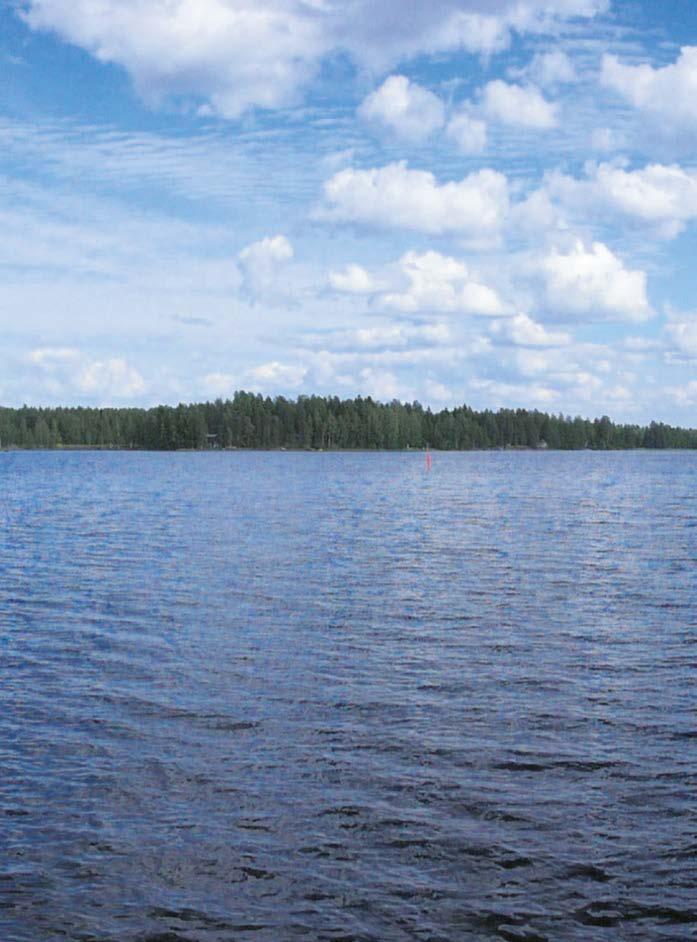 poistokalastusta.