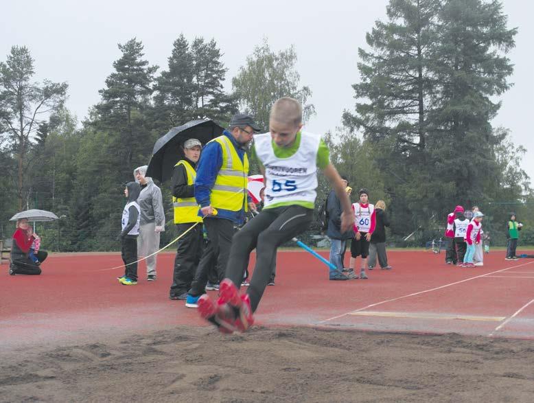 Taustalla Hauki-Halli.