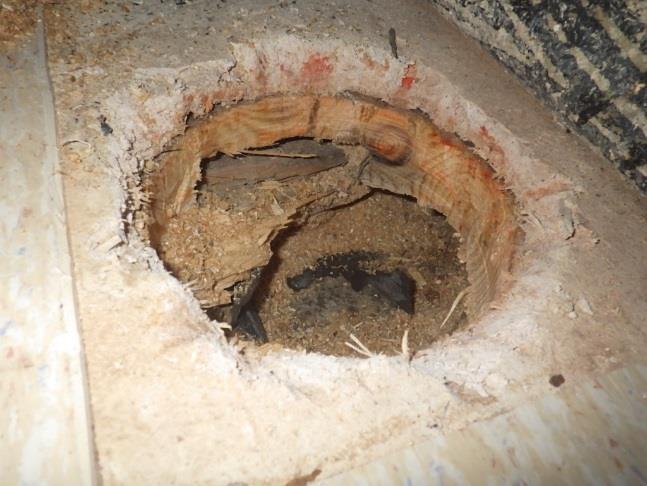 KORJAUSTARVESELVITYS 6 lauta 40 mm purueriste ja puukoolaus 60 mm pikipaperi betonirakenne Levyrakenne muovimaton alla oli aistinvaraisesti kostea.