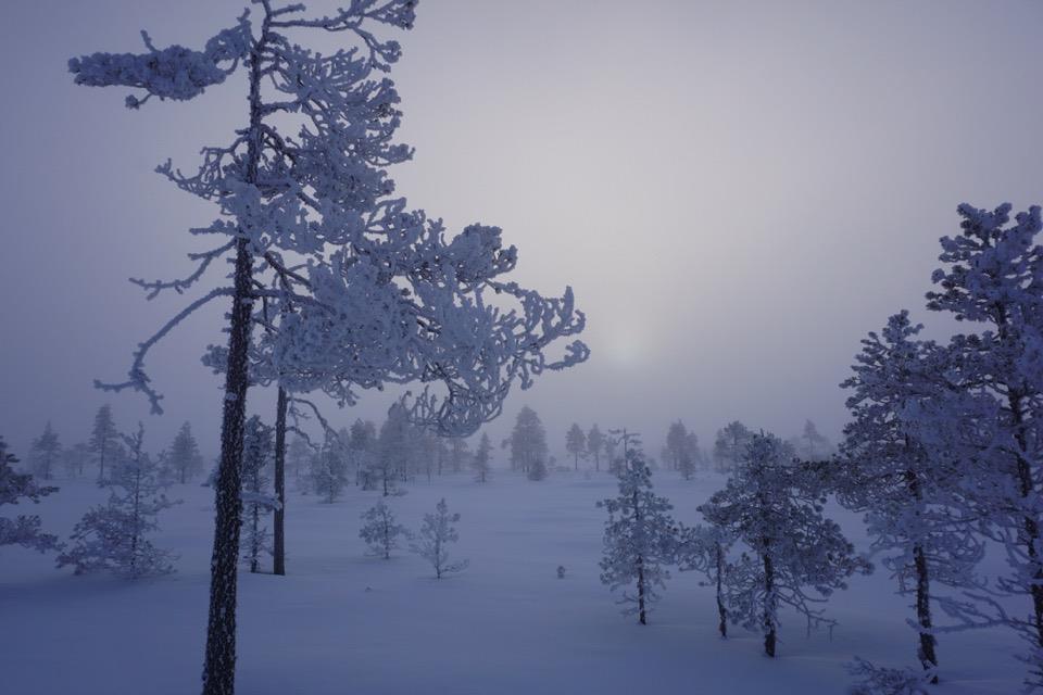 Vaikka työhyvinvoinnin käsite on laajentunut ja samalla toimijoiden määrä moninkertaistunut, perusasioissa on vielä kehittämistä. Barometrien tilastot ovat ennallaan.