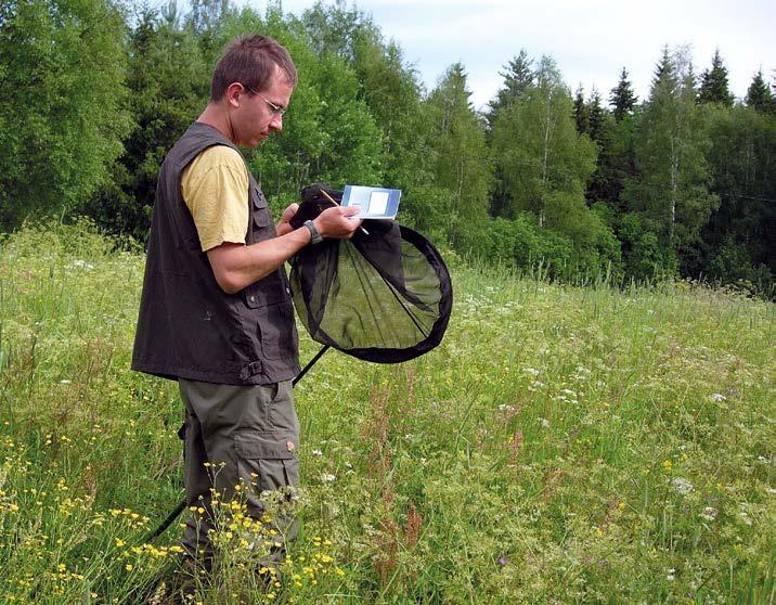 tavattiin taas runsaana viiden heikomman vuoden jälkeen. Myös keihäsmittarin (Rheumaptera hastata) kannat jatkoivat nousuaan, kohti vuoden 2001 kaltaista massaesiintymää kenties?