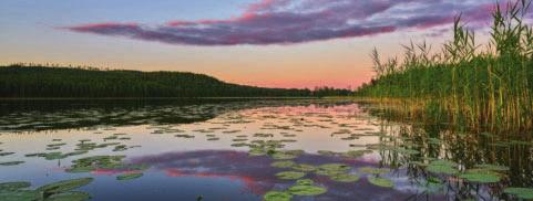 otetaan huomioon. Suunnittelu voi johtaa joistakin hankkeista luopumiseen.