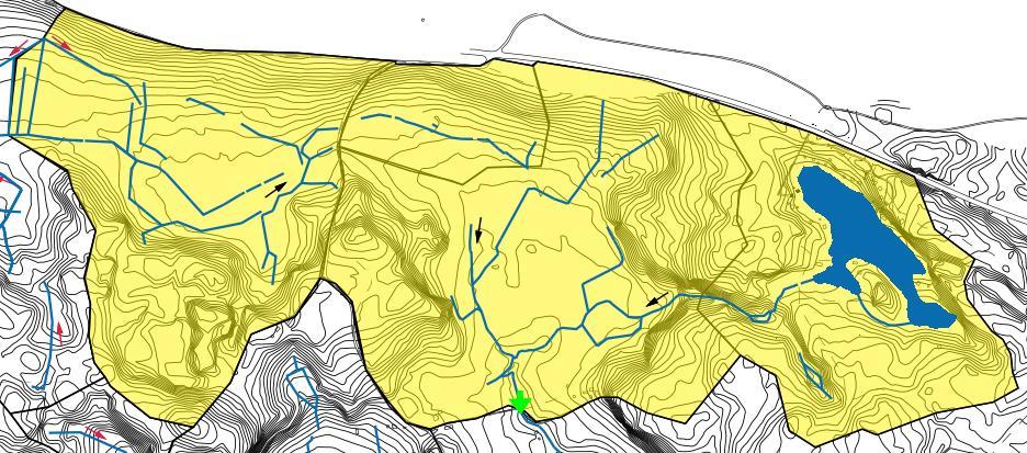 Kuva 5. Lähikuva keltaisesta valuma-alueesta.
