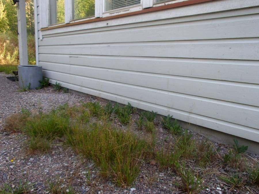 matala sisäänkäynnin