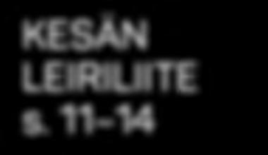 VERTAISTUKEA