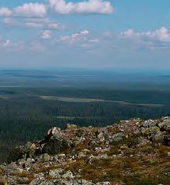 fi/pieksamaki 21.6.2019 mennessä. Ilmoittautuminen on saapunut perille, kun saatte laskun sähköpostiinne.