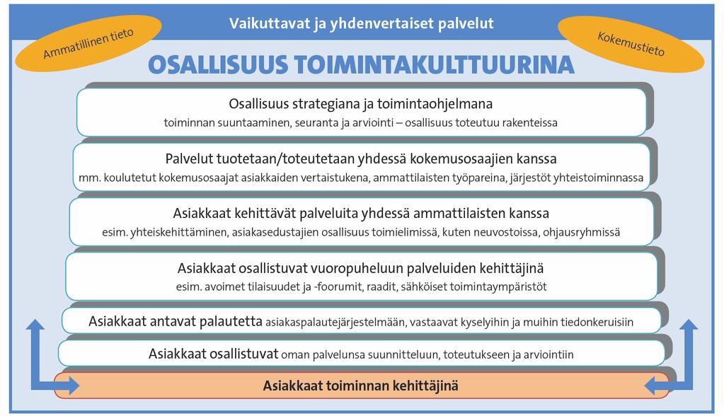 asiakkaan toiveita. Kehitysvammaisten henkilöiden kohdalla korostettiin itsemääräämisoikeuden tukemista ja sopivien kommunikointivälineiden käyttöä osallisuuden varmistamisessa. Kuva 17.