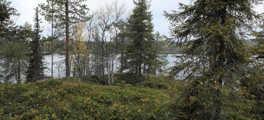 YLI-HEIKINJÄRVEN RANTA-ASEMAKAAVA 27