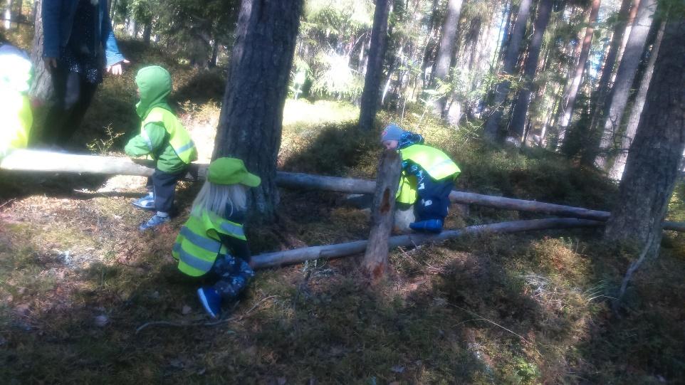 lähiliikuntapaikat lasta kannustetaan liikkumaan ja kokeilemaan, joskus siinä touhussa voi tulla myös pedagoginen mustelma 7.