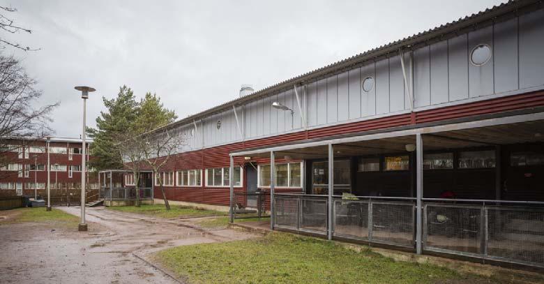 Päiväkodissa on kaksi toimivaa pihaa. Ympäristöterveydenhuollon lausunnon mukaan ilmanvaihto yhdessä pienryhmätilassa on ollut riittämätön.