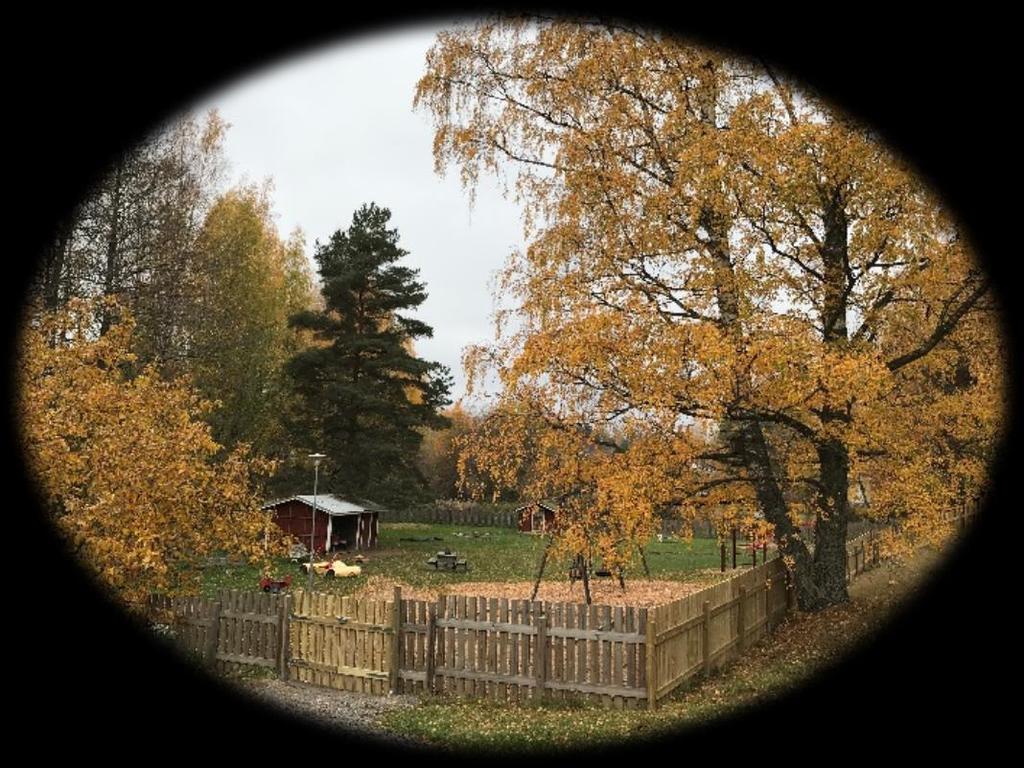 Esiopetus Esiopetus kuuluu perusopetuslain piiriin. Maksuton esiopetus on viitenä päivänä viikossa klo: 8-12.