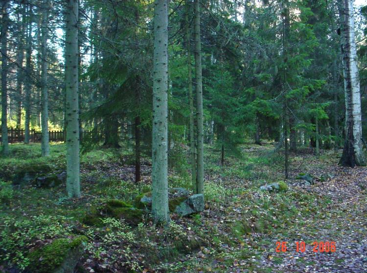 Tästä johtuen jäi tunnetun röykkiöalueen tarkastus hieman torsoksi saaresta poistuttiin illan jo pimennyttyä, eikä muutaman kuopan ja varmennusmittauksen takia katsottu tarpeelliseksi enää erikseen