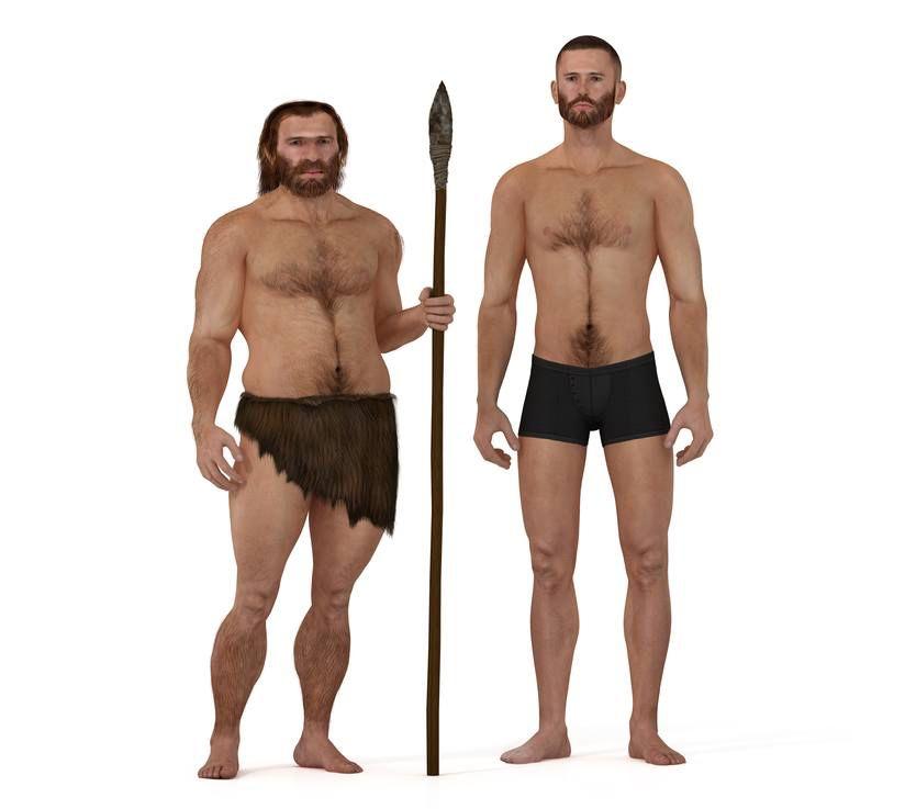 12. Nykyihminen ja neanderthalinihminen (R6) - - - - Neandertalinihminen on ihmisen suvun laji, joka eli Euroopassa ja Lounais-Aasiassa vielä 40 000 vuotta sitten.