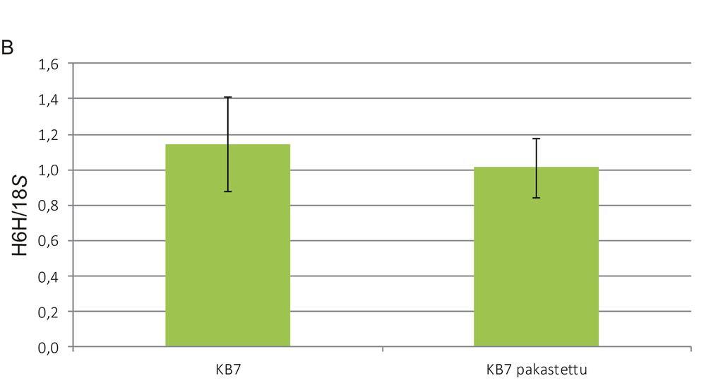 Pakastus (kryosäilytys) Useita eri pakastusmenetelmiä tutkittiin villikaalin karvajuurten pitkäaikaissäilytystä varten. Kokeellinen suunnitelma on esitetty Kuvassa 1.