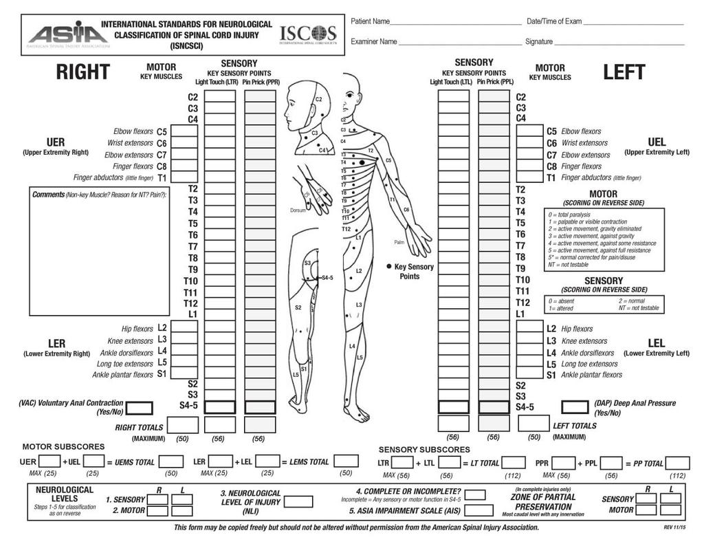 APPENDICES Appendix 1.