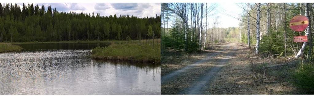 Pitoisuuksia