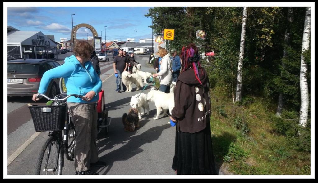 Lauantaina väki lisääntyi entisestään ja paikalla oli osallistujia noin 25. Jutustelussa koirat olivat pääosassa ja vähän sivuosassakin.