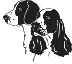 v1.0 Walesinspringerspanielien