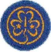 Partiotyttöjen Maailmanjärjestö eli WAGGGS (World Association of Girl Guides and Girl Scouts) perustettiin vuonna 1928.