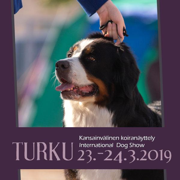 Kansainvälinen kaikkien rotujen koiranäyttely Turun Messukeskuksessa International All Breed Dog Show