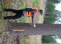 Riippumatonta ja luotettavaa metsätietoa lukijoilleen tarjoava Metsälehti tavoitti 196 000 metsänomistajaa ja metsäammattilaista.