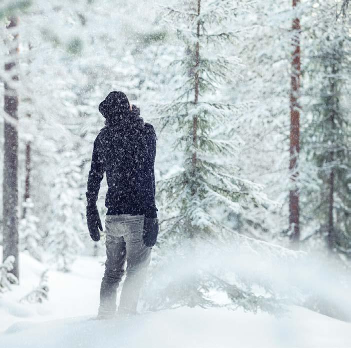 Naava yhdistää ihmiskunnan ja luonnon uudelleen.