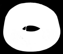 002 38A-54-MVBE 200,0 x 6,0 x 32,0 valkoinen,