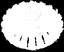 punottu teräslanka - vahvuudet: K = 0,5 mm, L = 0,8 mm MALLI Ø MM MITAT MM RPM MAX d s e 4.029.