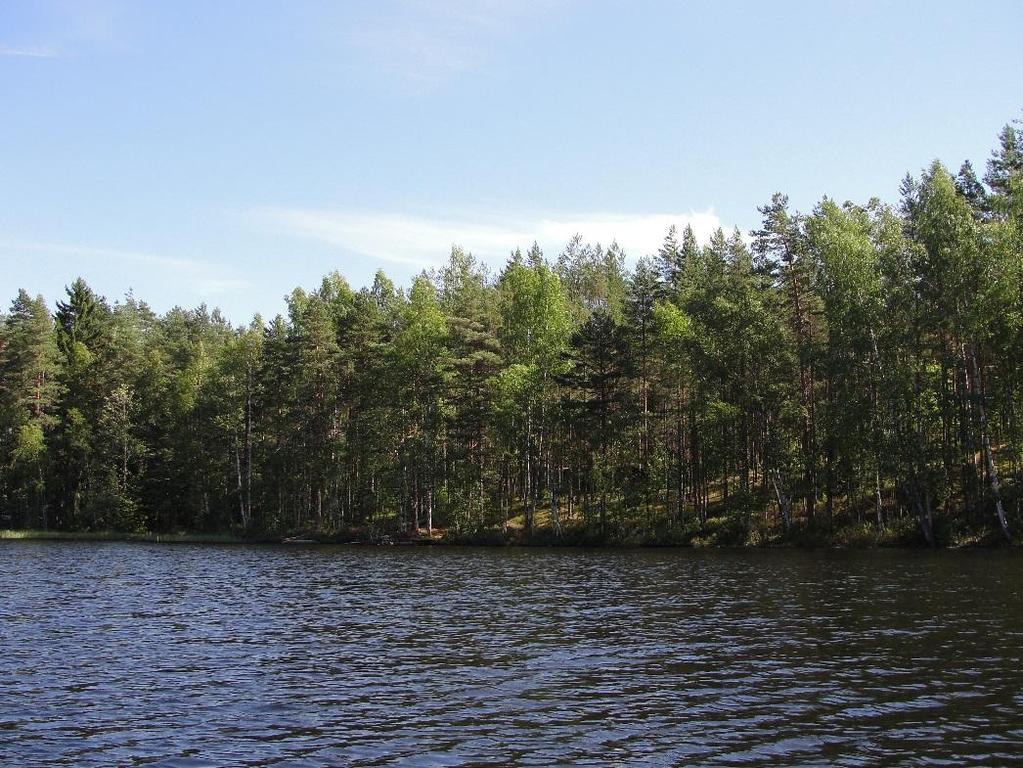 3 / 3 Alusvedessä oli silti havaittavissa selvää rikkivedyn tuoksua, minkä perusteella hapettomuus oli mahdollisesti vielä kehittymässä. Laiskaa 8.