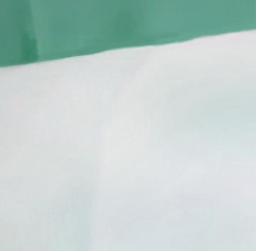 Stefano F, Di Gioacchino G, Di Rocco P, Schiavone C,