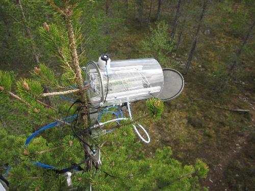 Ekosysteemien hiilenvaihtomittaus on ilmastonmuutostutkimuksen tärkeä osa Pohjoisissa oloissa ekosysteemien tehokkuus hiilen sidonnassa (GPP) ja hengityksessä