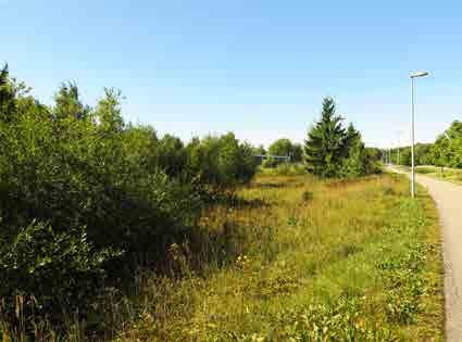 KOIVUKYLÄ 5.1 Riitenotko Tunnus 1670-007 B3 Pinta-ala B3: 18 514 m 2 Kaavamerkintä AK: LV Luonto- ja maisema-arvot Erityisarvot Virkistyskäyttö Nykytila Hoidon tavoite Kunnossapito Avoin maisematila.