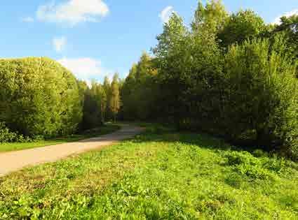 KOIVUKYLÄ 5.