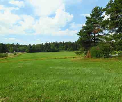 KOIVUKYLÄ 5.9 Piippilakinpuiston pellot Tunnus 0920057225, 0920057326 B1 Pinta-ala B1: 48 870 m 2 Kaavamerkintä YK: A2 Luonto- ja maisema-arvot Erityisarvot Avoin maisematila. Näkyvyys tiemaisemassa.